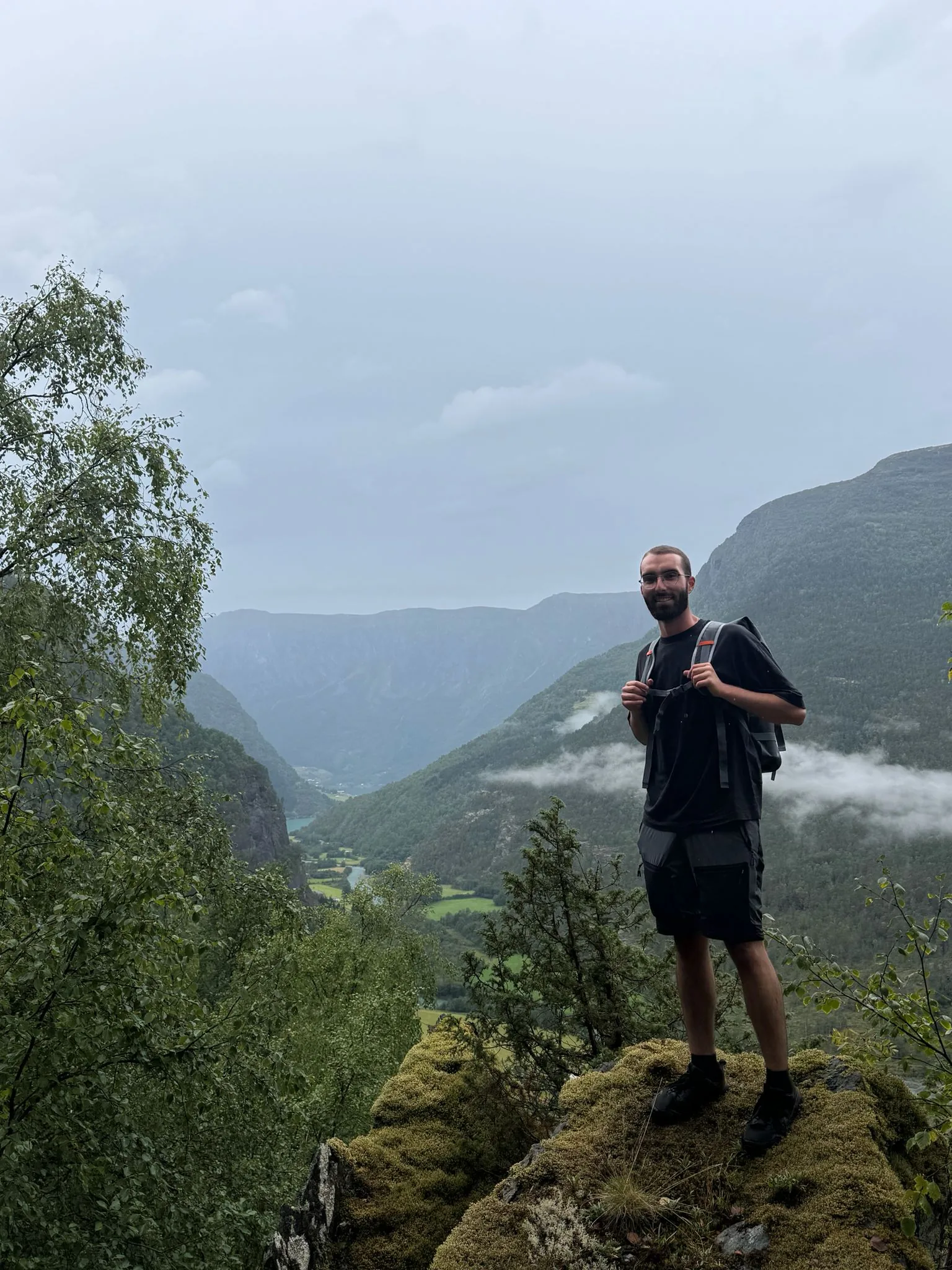 Delfín en los fiordos noruegos
