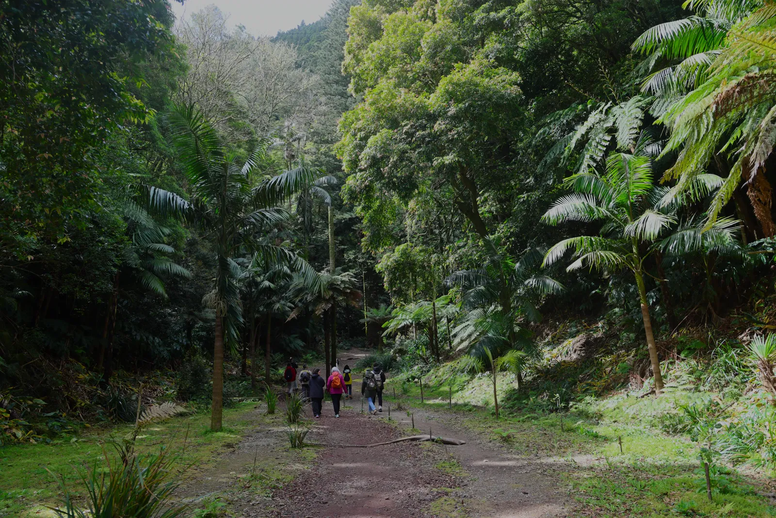 Lagoa das Furnas