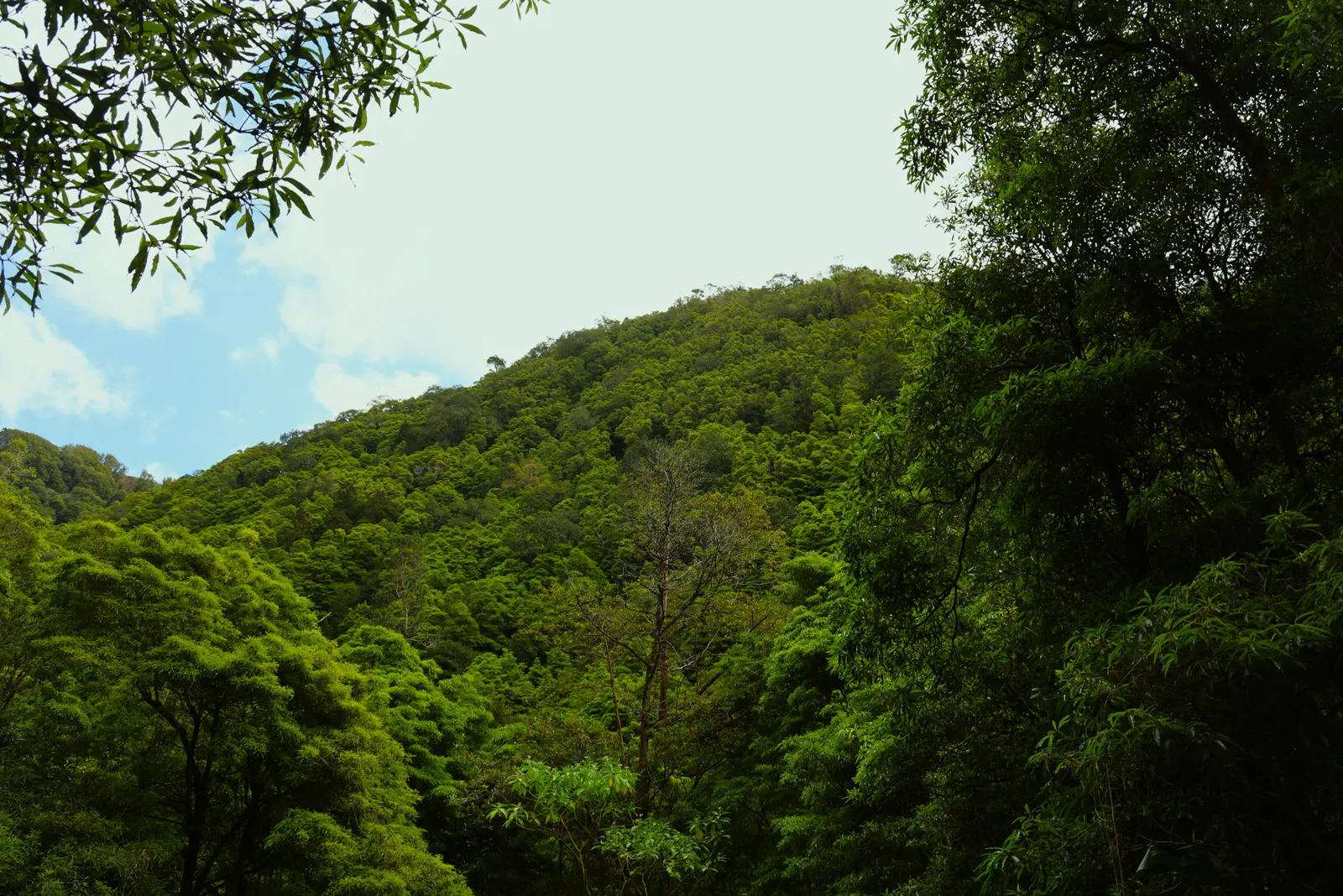 Azores