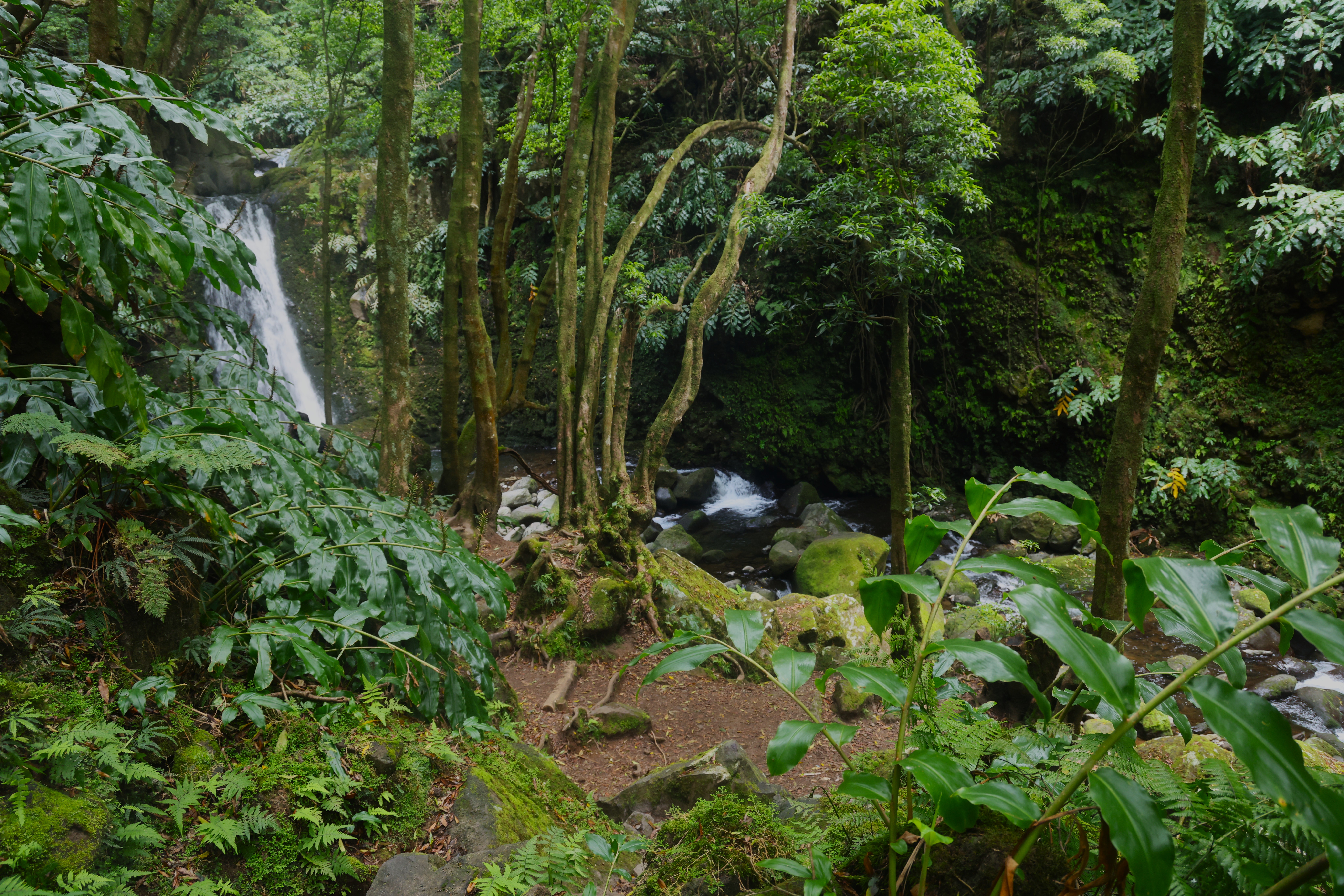 Azores