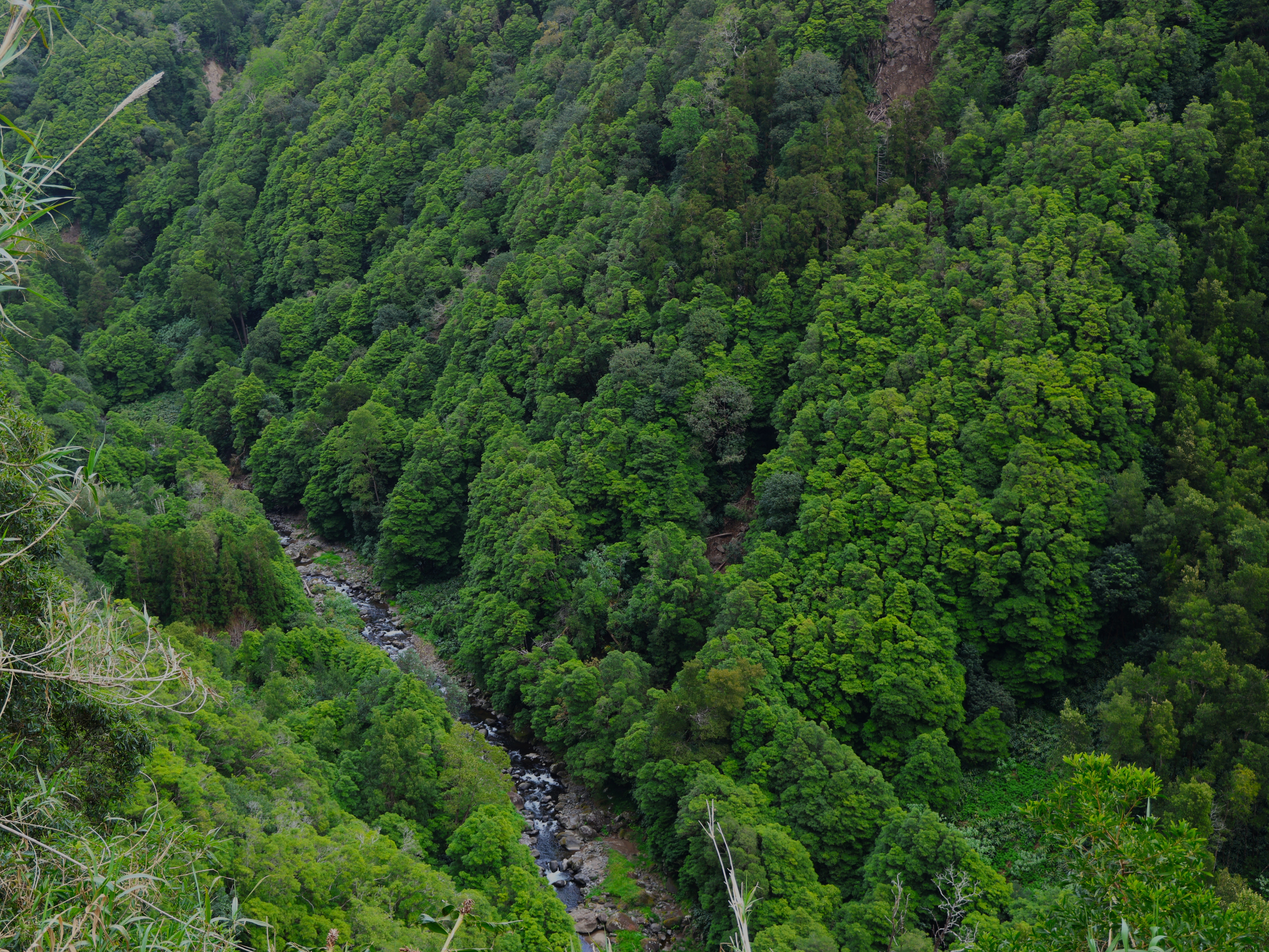 Azores — Sete Cidades
