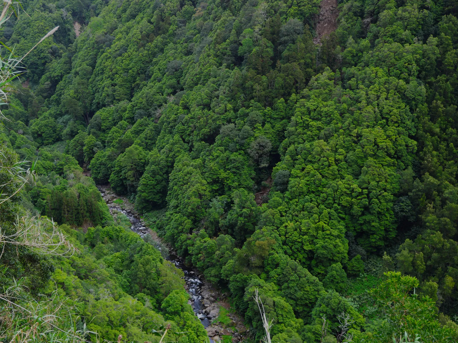 Azores — Sete Cidades