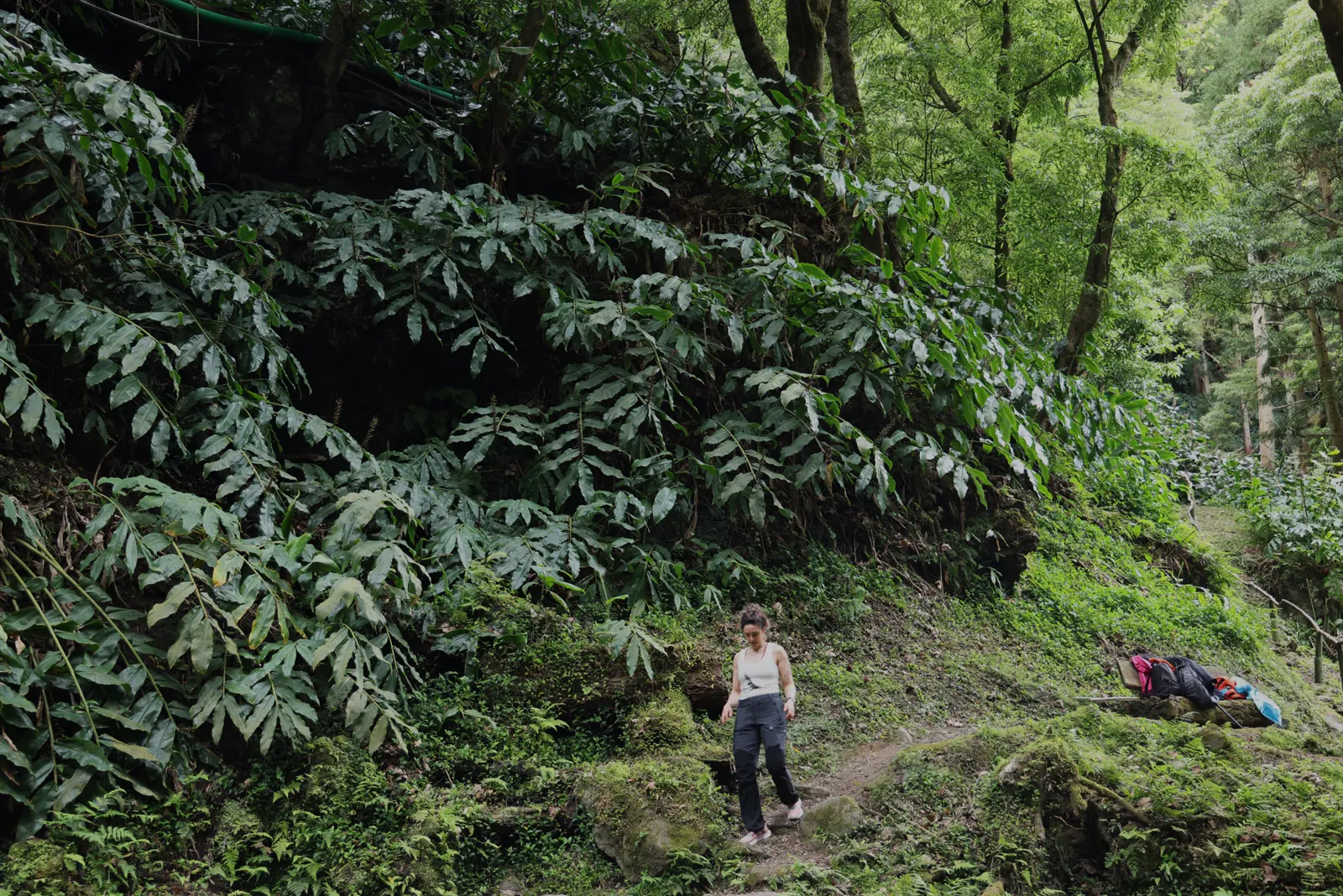 Parque natural Azores