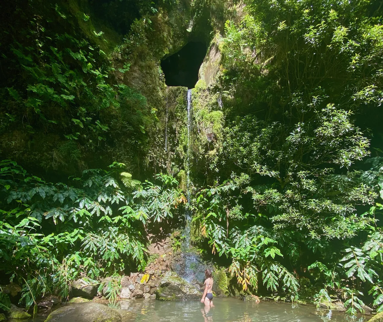 Sendero de la Rota da Água entre vegetación