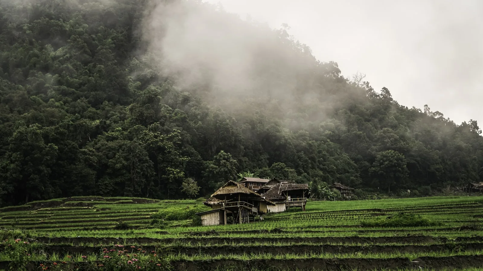 Tailandia — montañas con niebla en el norte